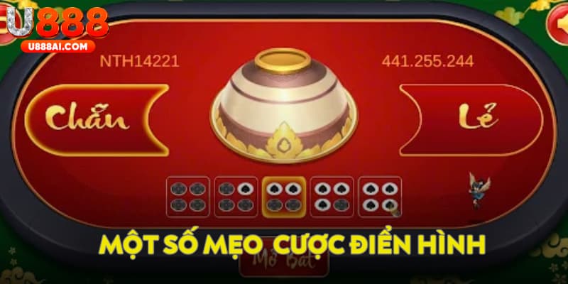 Một số mẹo cược hay Một số mẹo cược hay